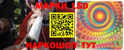 шишки Тулун