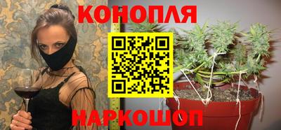 шишки Тулун